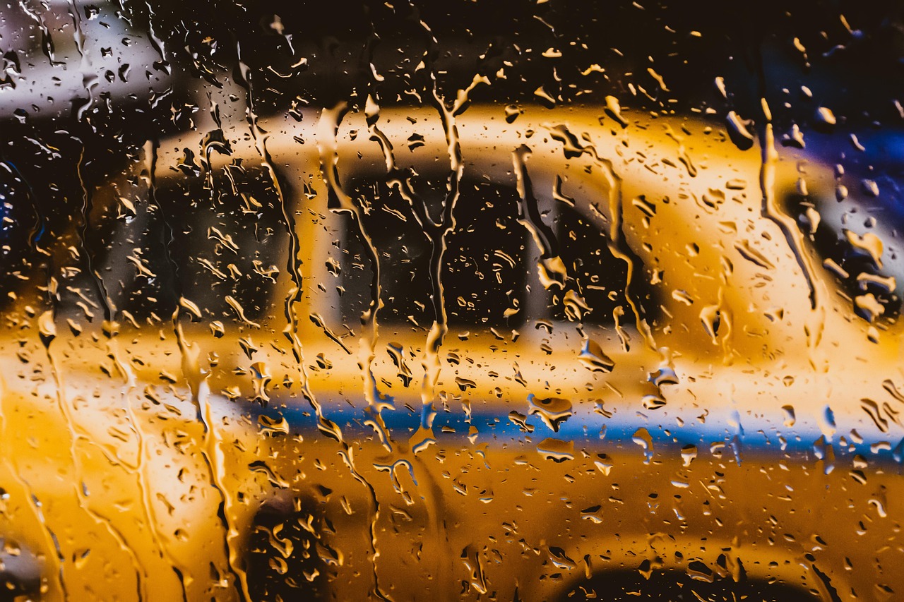 taxi, nature, outdoor, blurd, water, moist, dew, glass, rain water