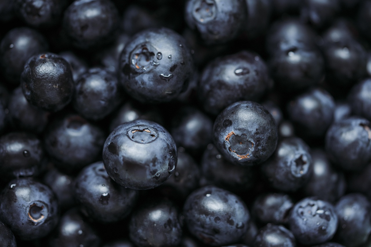 blueberries, vitamins, superfood, healthy, fresh, yummy, blueberries, blueberries, superfood, superfood, superfood, superfood, superfood